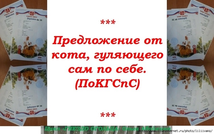 ПоКГСпС