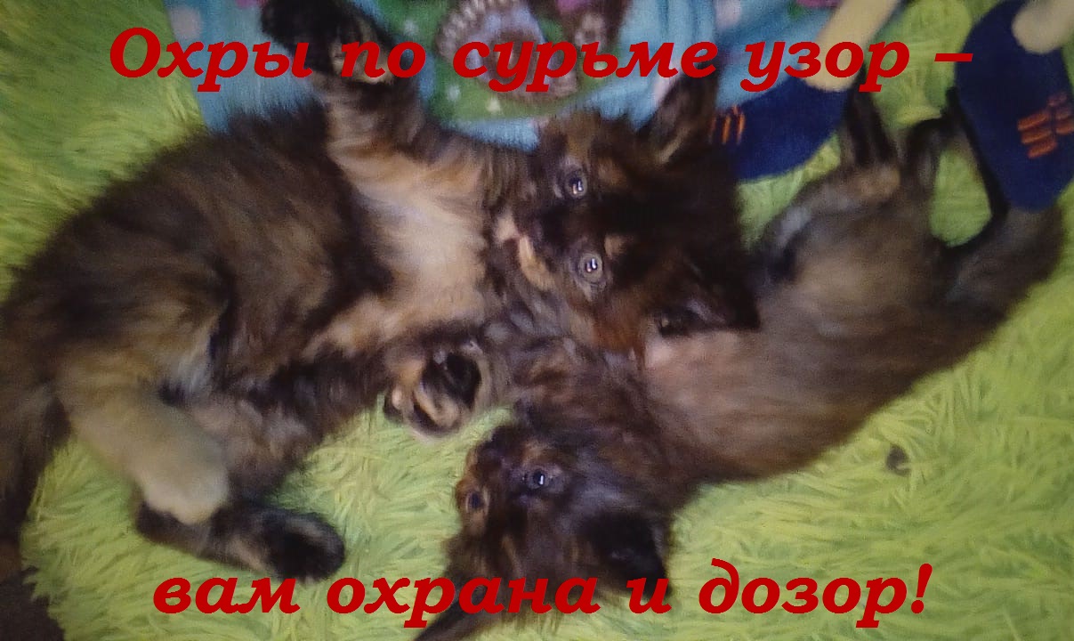 Охры по сурьме узор - вам охрана и дозор!