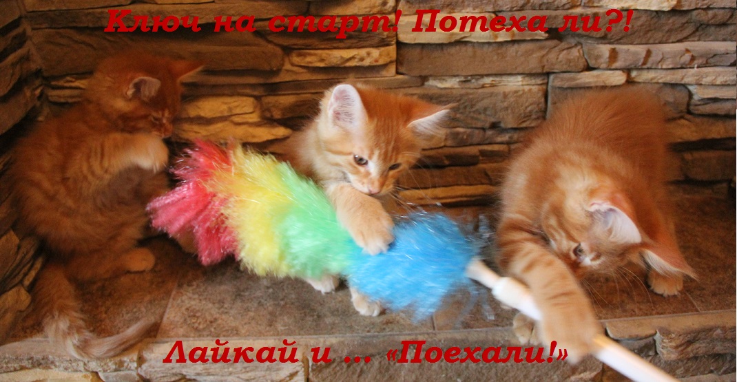 Ключ на старт! Потеха ли?! Лайкай и … «Поехали!»