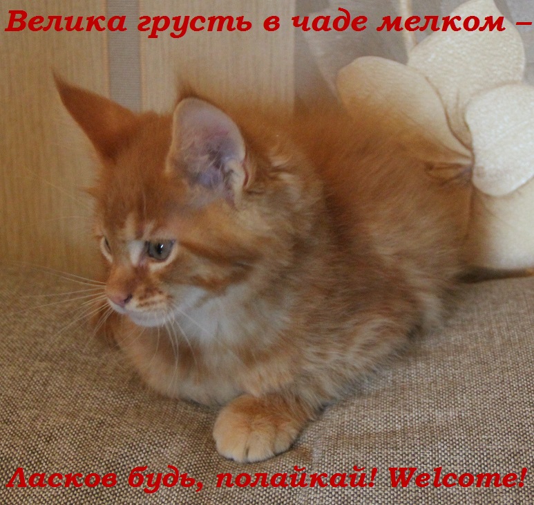 Велика грусть в чаде мелком – Ласков будь, полайкай! Welcome!