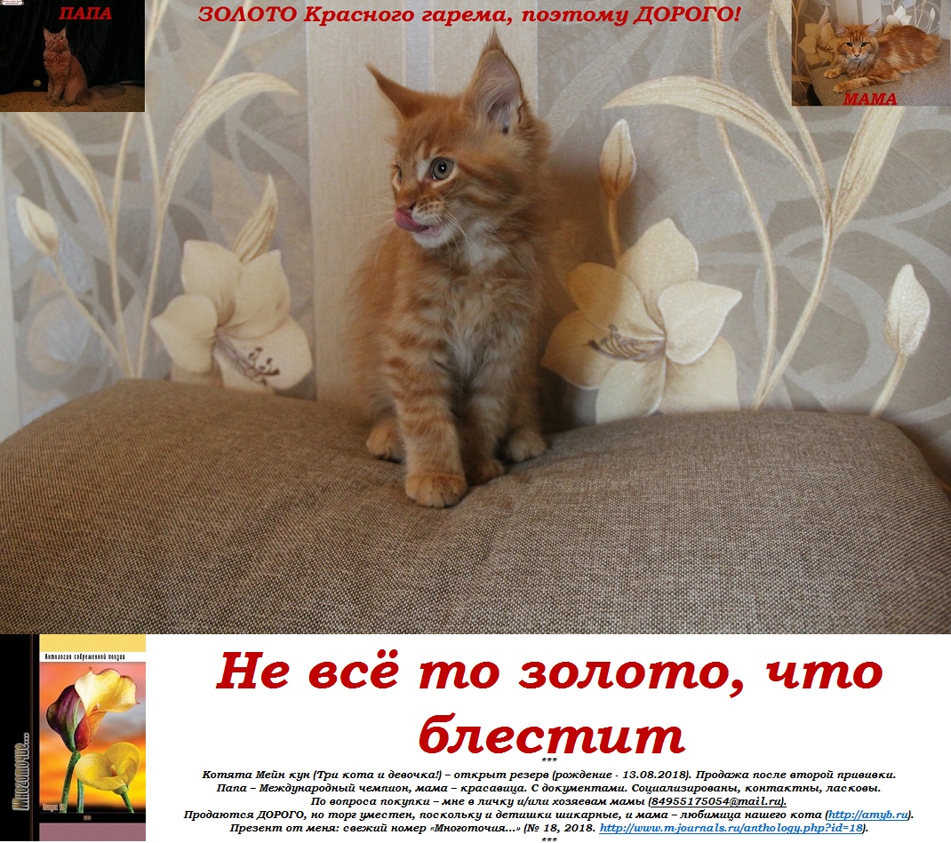 Не всё то золото, что блестит