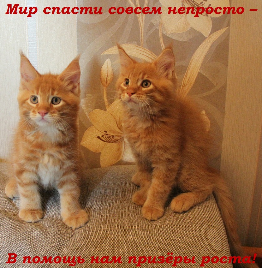 Мир спасти совсем непросто – В помощь нам призёры роста!
