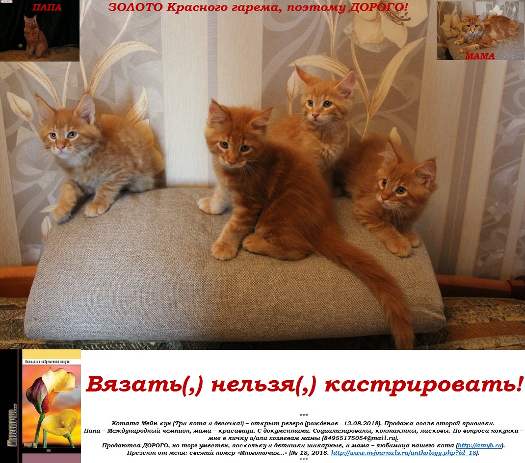 Вязать(,) нельзя(,) кастрировать!